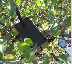 Leaf Sensor Wireless Solar Remote Node